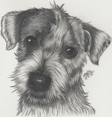 Hündchen - Kerstin Schröder - Array auf - Array - Hündchen - Kerstin Schröder - Array auf - Array -