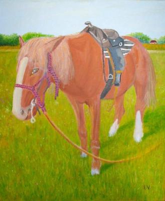 Ich bin bereit fürs Galoppieren - Ivan Varga - Array auf Array - Array - Array Ich bin bereit fürs Galoppieren - Ivan Varga - Array auf Array - Array - Array