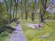 Weg im Park - Hanna Herrmann - Ãl auf Papier - Natur - Weg im Park - Hanna Herrmann - Ãl auf Papier - Natur -