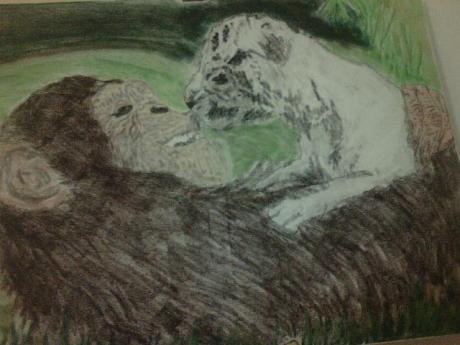 Affe und Tiger - Claudia Murzel - Array auf Array - Array - Affe und Tiger - Claudia Murzel - Array auf Array - Array -