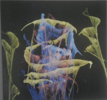 Befleckte Blume - Sascha Seibert - auf - Array - Array Befleckte Blume - Sascha Seibert - auf - Array - Array