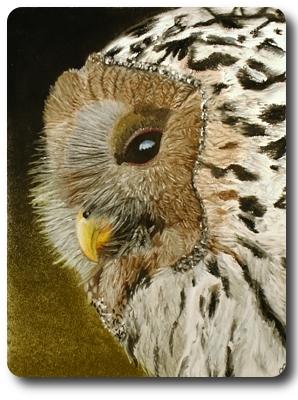 VogelART Eule - Askara Jinn - Array auf - Array - Array VogelART Eule - Askara Jinn - Array auf - Array - Array