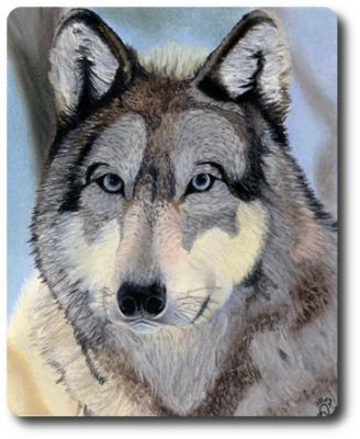 TierART Wolf - Askara Jinn - Array auf - Array - TierART Wolf - Askara Jinn - Array auf - Array -