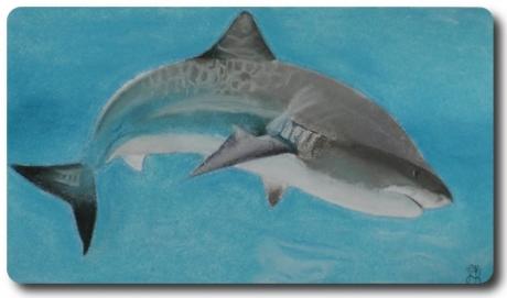 TierART Hai - Askara Jinn - Array auf - Array - TierART Hai - Askara Jinn - Array auf - Array -