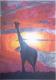 giraffe - melanie schuster - auf - Natur - giraffe - melanie schuster - auf - Natur -