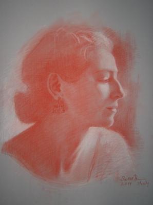 ---Head study Megan - Sameh Metwally - Array auf - Array - ---Head study Megan - Sameh Metwally - Array auf - Array -