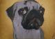 Stolzer Mops - Aleks Wagner - Acryl auf Papier - Hunde - Stolzer Mops - Aleks Wagner - Acryl auf Papier - Hunde -