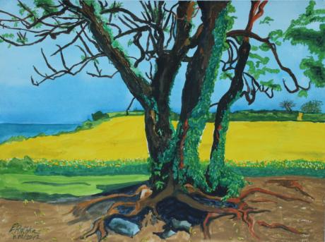 Rabsfeld an der Steilküste von Schöhagen - Egon Rathke - Array auf - Array - Rabsfeld an der Steilküste von Schöhagen - Egon Rathke - Array auf - Array -