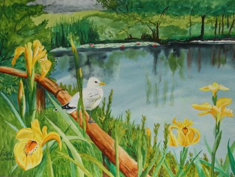 Kuhrpark in Ostseebad Damp - Egon Rathke - Array auf - Array - Array Kuhrpark in Ostseebad Damp - Egon Rathke - Array auf - Array - Array