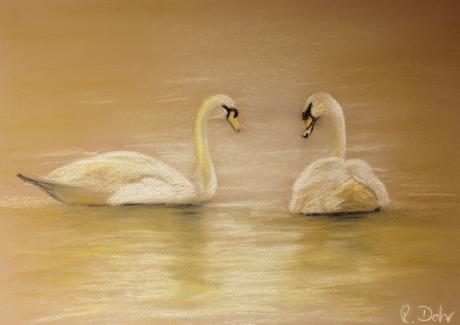 Schwanenpaar - Renate Dohr - Array auf Array - Array - Array Schwanenpaar - Renate Dohr - Array auf Array - Array - Array