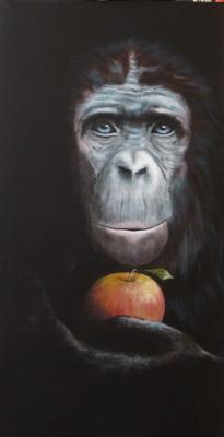 Adam - simone finster - Array auf Array - Array - Array Adam - simone finster - Array auf Array - Array - Array