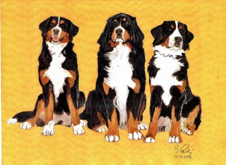 Baya Assia Madley - Georg  Rataj - Array auf Array - Array - 