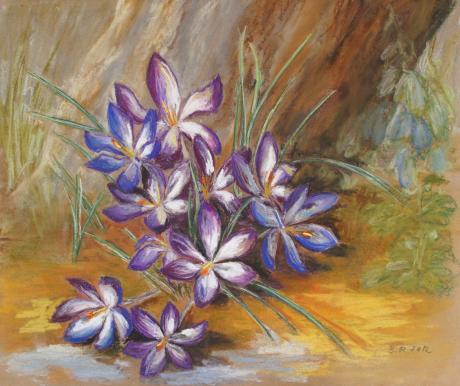 Krokusse unter meinem alten Apfelbaum - Barbara Pommerenke - Array auf Array - Array - Array