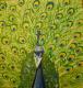 Der Pfau - Aleksandra Schoenfeld - Acryl auf Leinwand - Vögel - Der Pfau - Aleksandra Schoenfeld - Acryl auf Leinwand - Vögel -