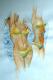 Bikini - Tim Lauer - Aquarell auf Papier - Frauen - Realismus Bikini - Tim Lauer - Aquarell auf Papier - Frauen - Realismus