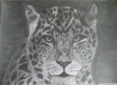 Leopard - Anita Novacek - Array auf - Array - Leopard - Anita Novacek - Array auf - Array -