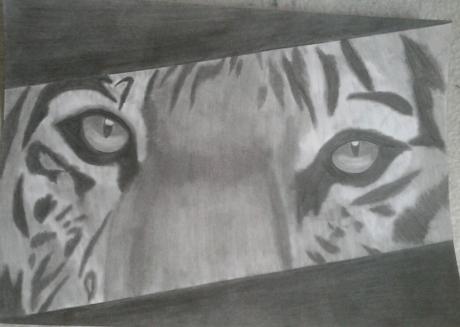 Eye of the tiger - Anita Novacek - Array auf - Array - Eye of the tiger - Anita Novacek - Array auf - Array -