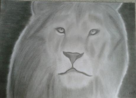 Löwe 2 - Anita Novacek - Array auf - Array - Löwe 2 - Anita Novacek - Array auf - Array -