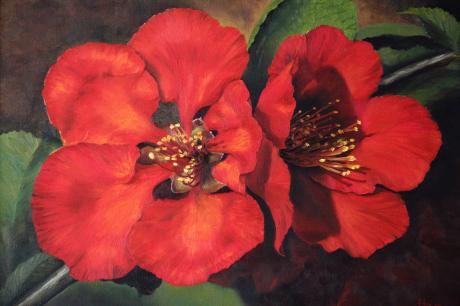 Quittenblüten - Heike Ziethen - Array auf Array - Array - Array Quittenblüten - Heike Ziethen - Array auf Array - Array - Array