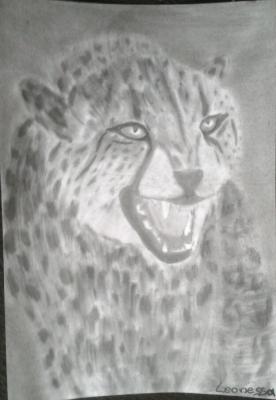 Gepard - Anita Novacek - Array auf - Array - Gepard - Anita Novacek - Array auf - Array -