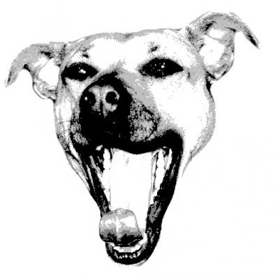 Dea Dogface - Susu Zeck - Array auf - Array - Dea Dogface - Susu Zeck - Array auf - Array -