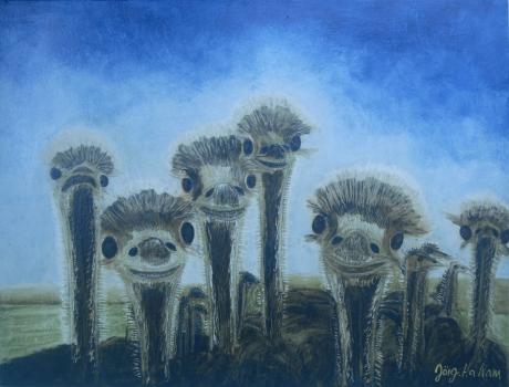 Lustige Vögel - Hans Jörg Hamann - auf Array - Array - Array Lustige Vögel - Hans Jörg Hamann - auf Array - Array - Array