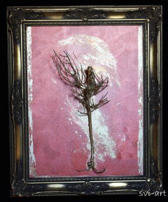 Die Frau in Gold - Marjana Svinjar - Hinzmann - Array auf Array - - Array Die Frau in Gold - Marjana Svinjar - Hinzmann - Array auf Array - - Array