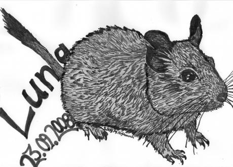 Auftragsarbeit - Marcel Hofmann -  auf  - Array - 