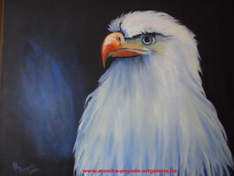 ADLER Portrait - Monika Pogoda - Array auf Array - Array - Array ADLER Portrait - Monika Pogoda - Array auf Array - Array - Array