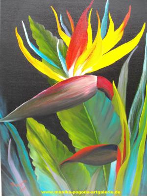 STRELIZIE - Monika Pogoda - Array auf Array - Array - Array STRELIZIE - Monika Pogoda - Array auf Array - Array - Array