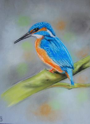 Eisvogel--- - Jacqueline Scheib - Array auf Array - Array - Eisvogel--- - Jacqueline Scheib - Array auf Array - Array -