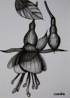 Fuchsie 2 - Claudia Diaz - Array auf Array - Array - Array Fuchsie 2 - Claudia Diaz - Array auf Array - Array - Array