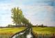 Am Bach - Martina Winkler - Acryl auf Leinwand - - Am Bach - Martina Winkler - Acryl auf Leinwand - -