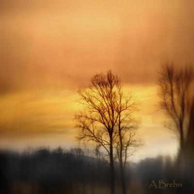 Novemberabend - Anke Brehm - Array auf - Array - Novemberabend - Anke Brehm - Array auf - Array -