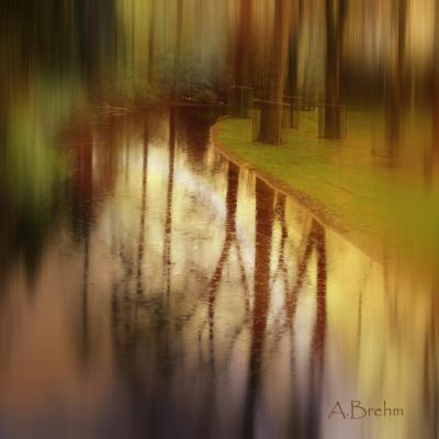 Spiegelung - Anke Brehm - Array auf - Array - Spiegelung - Anke Brehm - Array auf - Array -