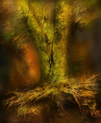 Zauberbaum - Anke Brehm - Array auf - Array - Zauberbaum - Anke Brehm - Array auf - Array -