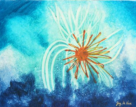 Seeigel - Hans Jörg Hamann - auf - Array - Seeigel - Hans Jörg Hamann - auf - Array -