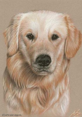 Golden Retriever - Nicole Zeug - Array auf - Array - Golden Retriever - Nicole Zeug - Array auf - Array -