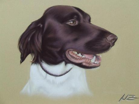 Jagdhund - Nicole Zeug - Array auf - Array - Jagdhund - Nicole Zeug - Array auf - Array -