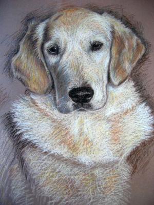 Golden Lady - Nicole Zeug - Array auf - Array - Golden Lady - Nicole Zeug - Array auf - Array -