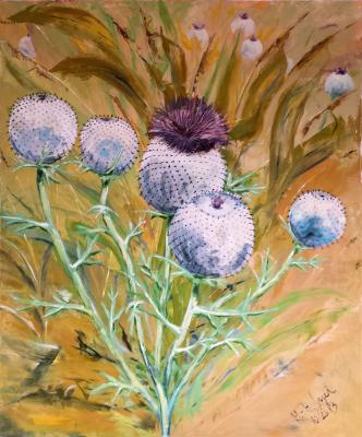 Distel - Hanns-Henrik Vogel - Array auf Array - Array - Array Distel - Hanns-Henrik Vogel - Array auf Array - Array - Array