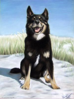 Schäferhund - Nicole Zeug - Array auf - Array - Schäferhund - Nicole Zeug - Array auf - Array -