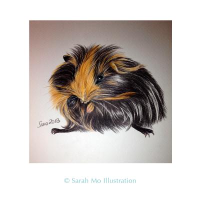 Meerschweinchen Braun - Sarah Mo Illustration - Array auf Array - Array - Array Meerschweinchen Braun - Sarah Mo Illustration - Array auf Array - Array - Array