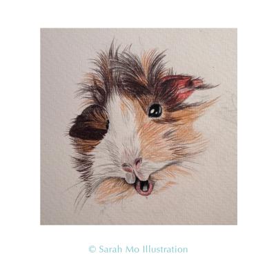 Meerschweinchen HAY - Sarah Mo Illustration - Array auf Array - Array - Array Meerschweinchen HAY - Sarah Mo Illustration - Array auf Array - Array - Array