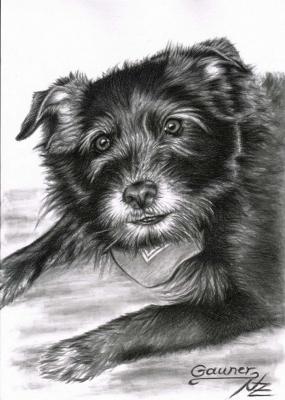 Gauner - Nicole Zeug - Array auf - Array - Gauner - Nicole Zeug - Array auf - Array -