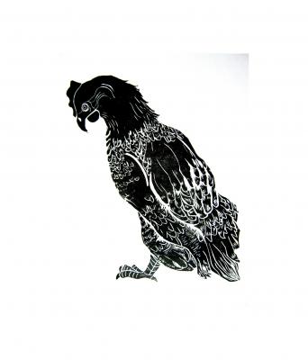 Linolschnitt Huhn - Anja Riedel - Array auf - Array - Linolschnitt Huhn - Anja Riedel - Array auf - Array -