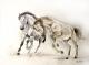 ---Pferde - Ina Berman - Aquarell auf Papier - Pferde - ---Pferde - Ina Berman - Aquarell auf Papier - Pferde -