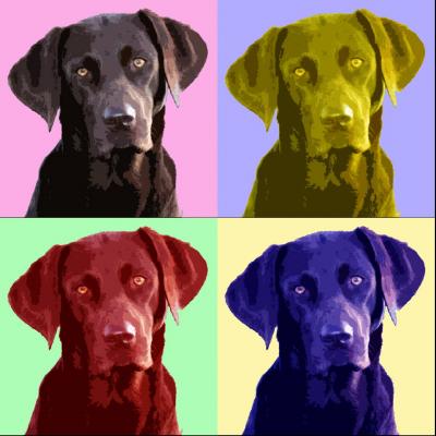 PopArt Labrador - Nicole Zeug - Array auf - Array - PopArt Labrador - Nicole Zeug - Array auf - Array -