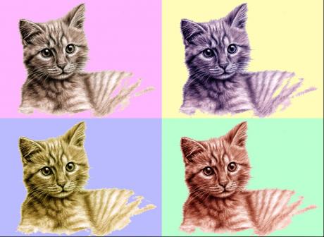 Kitten PopArt - Nicole Zeug - Array auf - Array - Kitten PopArt - Nicole Zeug - Array auf - Array -