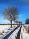 Winterspaziergang - Simone Wilhelms - Ãl auf - Schnee - Winterspaziergang - Simone Wilhelms - Ãl auf - Schnee -